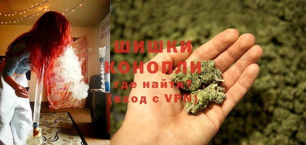 ALPHA PVP Ростов