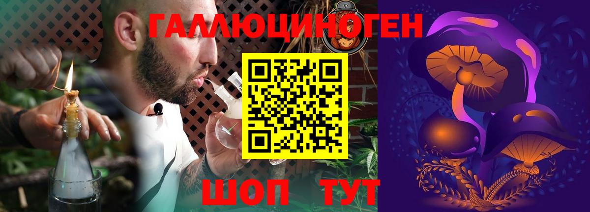 Калининград  Галлюциногенные грибы Magic Shrooms  где можно купить наркотик  Вход с VPN 